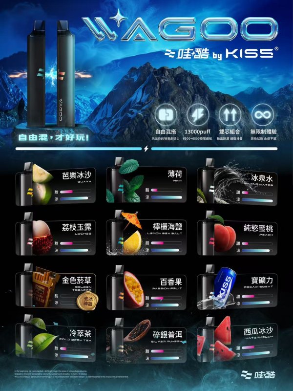 哇酷6500口一次性（跟kiss拋棄式可以吸一起）